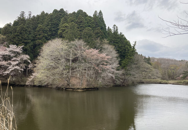 景色がいい