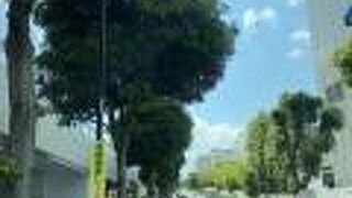 品川駅高輪口から高輪台に登る名所！