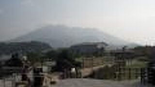 日本最大級の足湯に浸かりながら、錦江湾や後ろにそびえる桜島を眺めることができます。