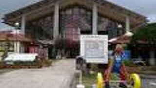 ヤンバルクイナがお出迎え