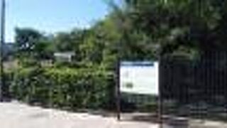 仁徳天皇陵などより小さめの古墳