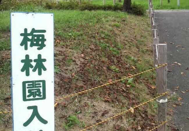 習志野市梅林園