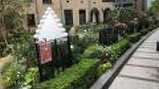 美しいバラが咲き誇る