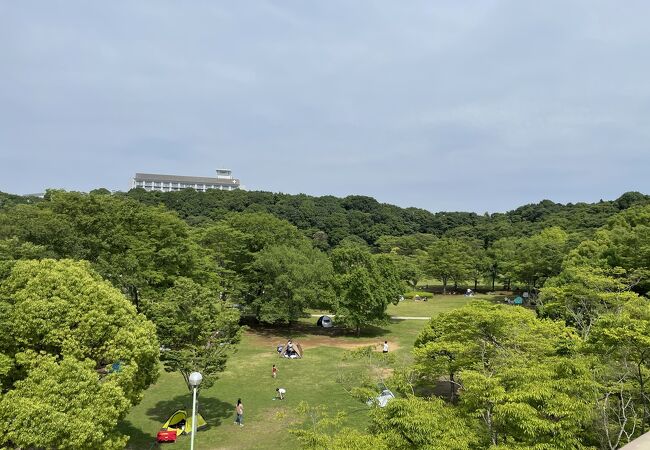松戸のおすすめ観光スポット クチコミ人気ランキングtop フォートラベル 千葉県 松戸のおすすめ観光スポット クチコミ人気ランキングtop フォートラベル 千葉県