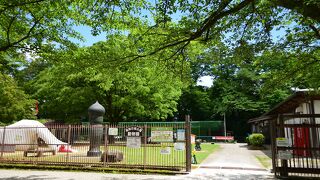 ドラえもんの裏山 By Kamomei 高岡古城公園のクチコミ フォートラベル