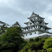 郡上八幡の山にそびえています。