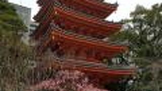 朱色が鮮やかな平成生まれの五重塔