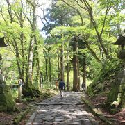 新緑と石畳の美しい大神山奥宮への参道