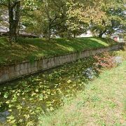 五稜郭のわきにある公園。