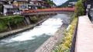 本当は清流なのかな