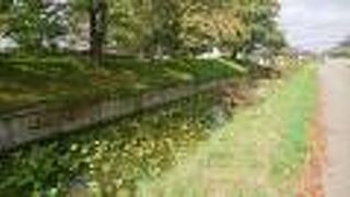 五稜郭のわきにある公園。