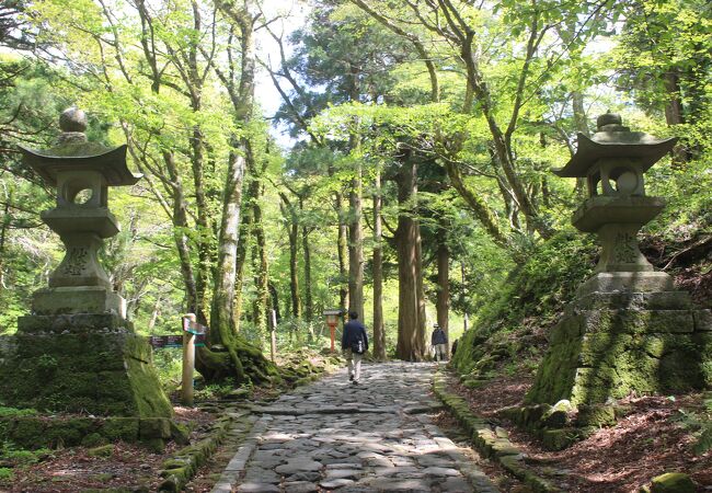 新緑と石畳の美しい大神山奥宮への参道