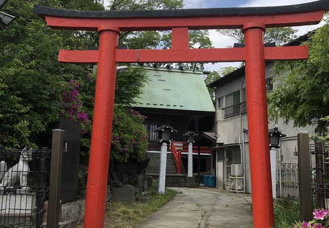 江戸時代 稲荷 お稲荷様 石仏（月夜見宮のお稲荷さんの御由緒