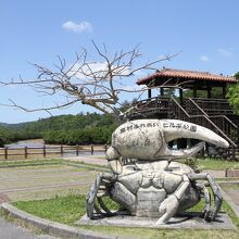 ～公園の入口にあるカニさんのオブジェ～