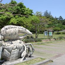 公園内には広い芝生広場もあります。