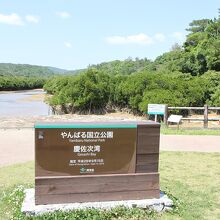 ここも「やんばる国立公園」の一部です。