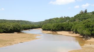 ここも「やんばる国立公園」の一部です。