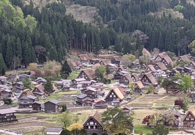 天守閣展望台 クチコミ アクセス 営業時間 白川郷 フォートラベル