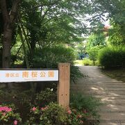 緑多い公園