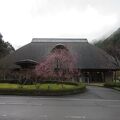 下北山温泉 きなりの湯