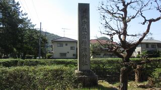 吉備津の松並木