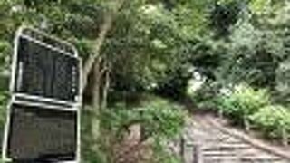 全長97メートルの前方後円墳