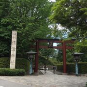 根津神社でほっこり。