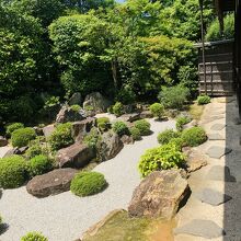 首をのばして覗きこみ　やっと…撮影