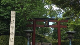 根津神社でほっこり。