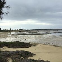 干潮時の風景