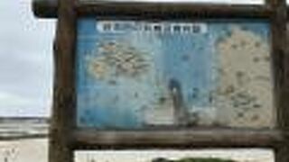 干潮の時間帯でした。