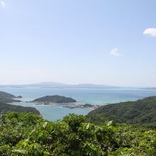 「やんばる国立公園」の森も元気色です～