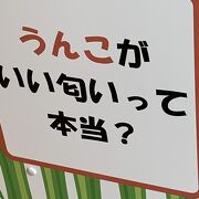 う○○  が いい匂い って本当？