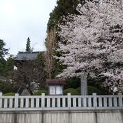 美しいお寺