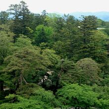 辰巳櫓跡からの兼六園と山々の眺め