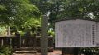 整備された敷地