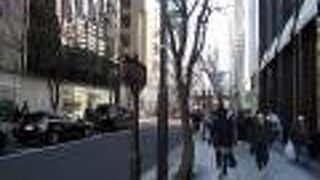 マロニエの木が街路樹として植えられています。