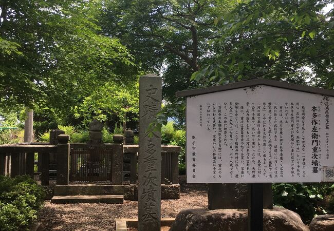 整備された敷地