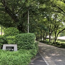 緑が多いです。