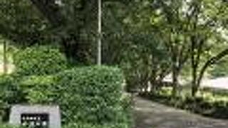 四ツ谷駅前の大型公園。