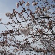 四季折々の植物を楽しめる