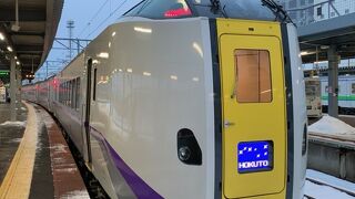 大沼公園⇔函館の短い区間のみ利用。　2日後は大雪で、森⇔長万部が不通だったので、札幌まで行けなかった!