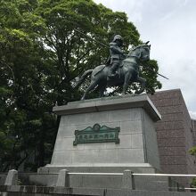 見上げる大きさ！