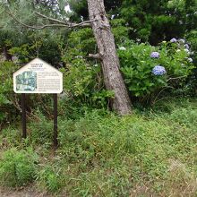 旧東海道大磯宿化粧坂一里塚跡説明版