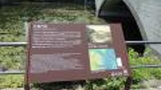 皇居・江戸城散策(2)で江戸城竹橋を渡りました