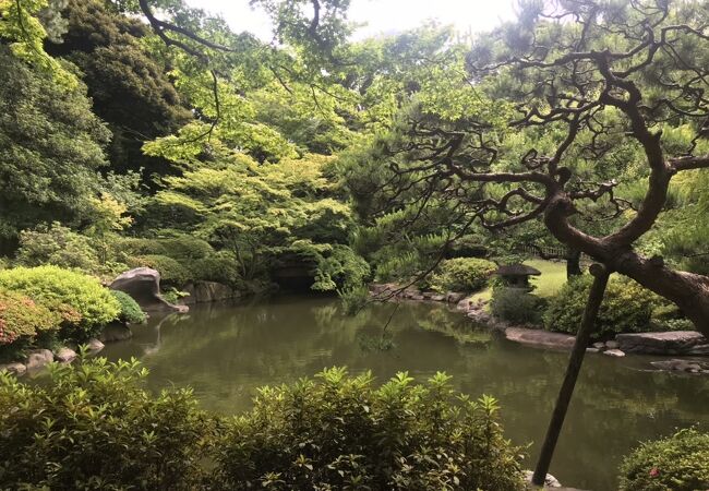 東京都庭園美術館 庭園 クチコミ アクセス 営業時間 目黒 フォートラベル