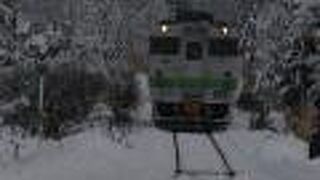 桑園から石狩沼田を結ぶ鉄道として開業するも今は北海道医療大学への通学路線