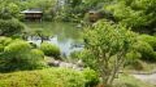 街中の癒しの庭園！