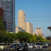 街路樹が植えられていてきれい