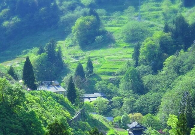 蓬平温泉